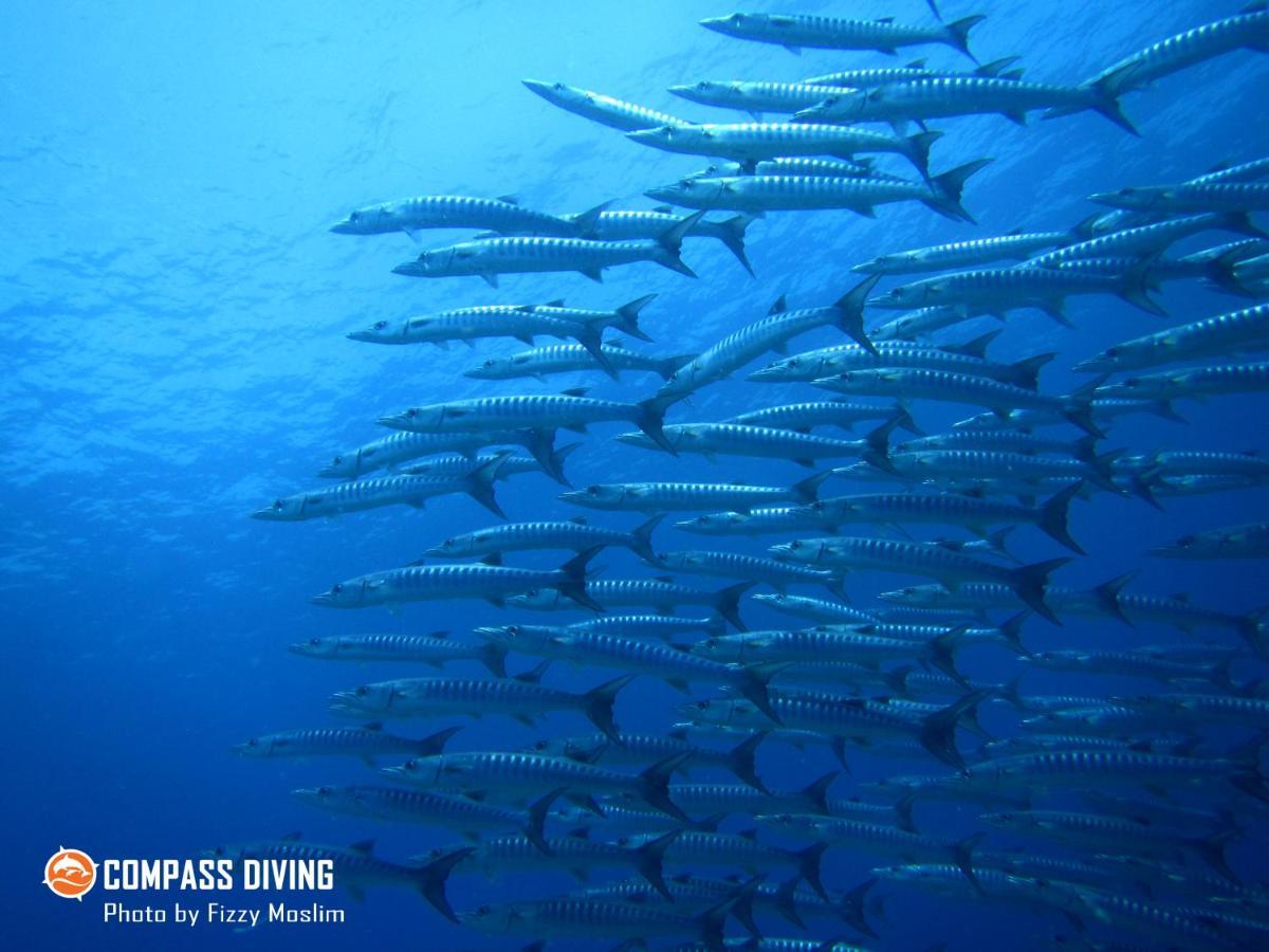 Compass Diving Resort Beloi Exterior photo