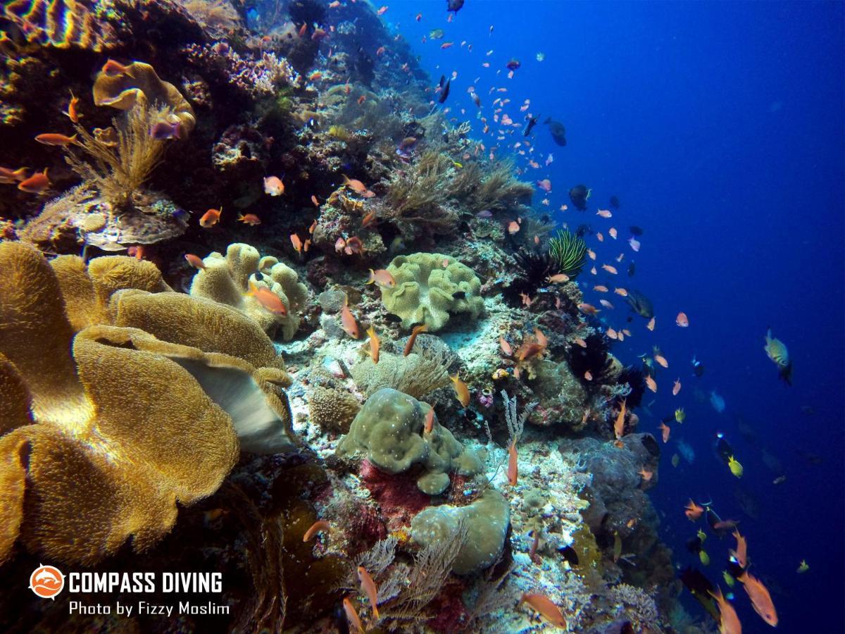 Compass Diving Resort Beloi Exterior photo